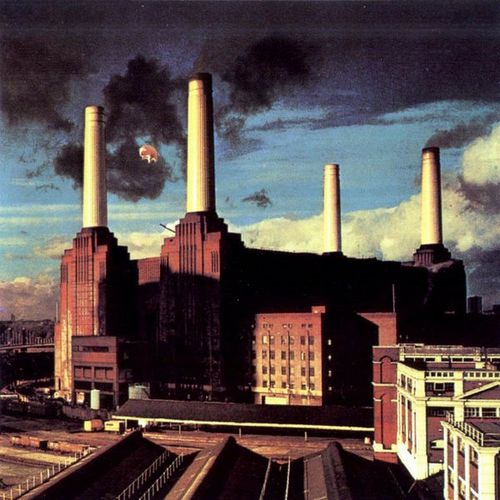 Pink Floyd's Animals album imagine having poster art of this in my bedroom.